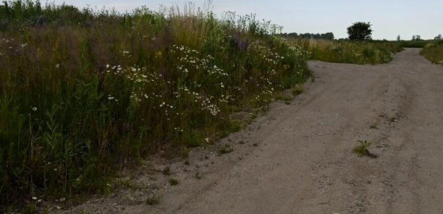 Участок 8 соток в Заозерье