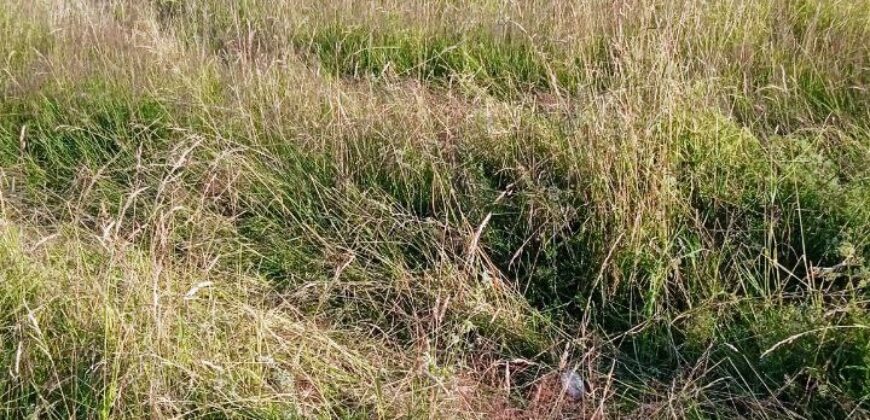 Участок 8 соток в Авангардном