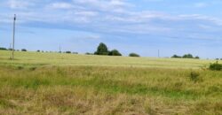 Участок 8 соток в Авангардном