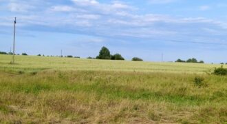 Участок 8 соток в Авангардном