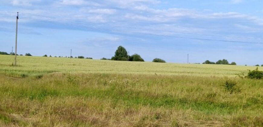 Участок 8 соток в Авангардном